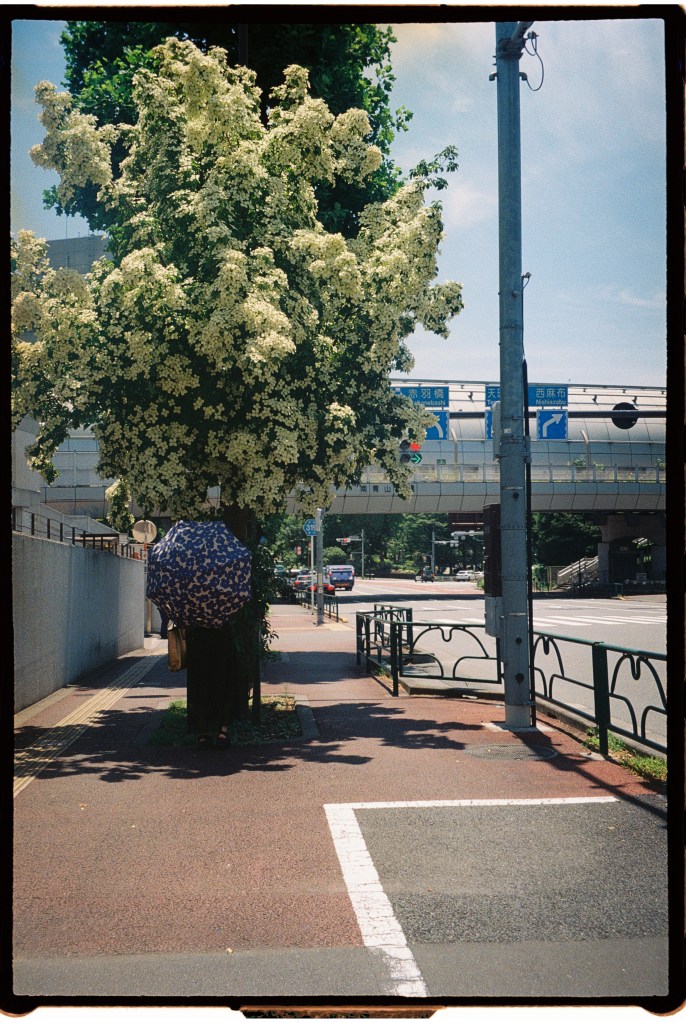 Tokyo with Kids roppongi 