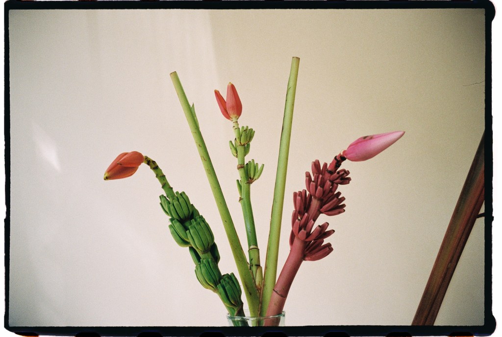 Flower edition of Impeccably Imperfect. pastels and summer colours 