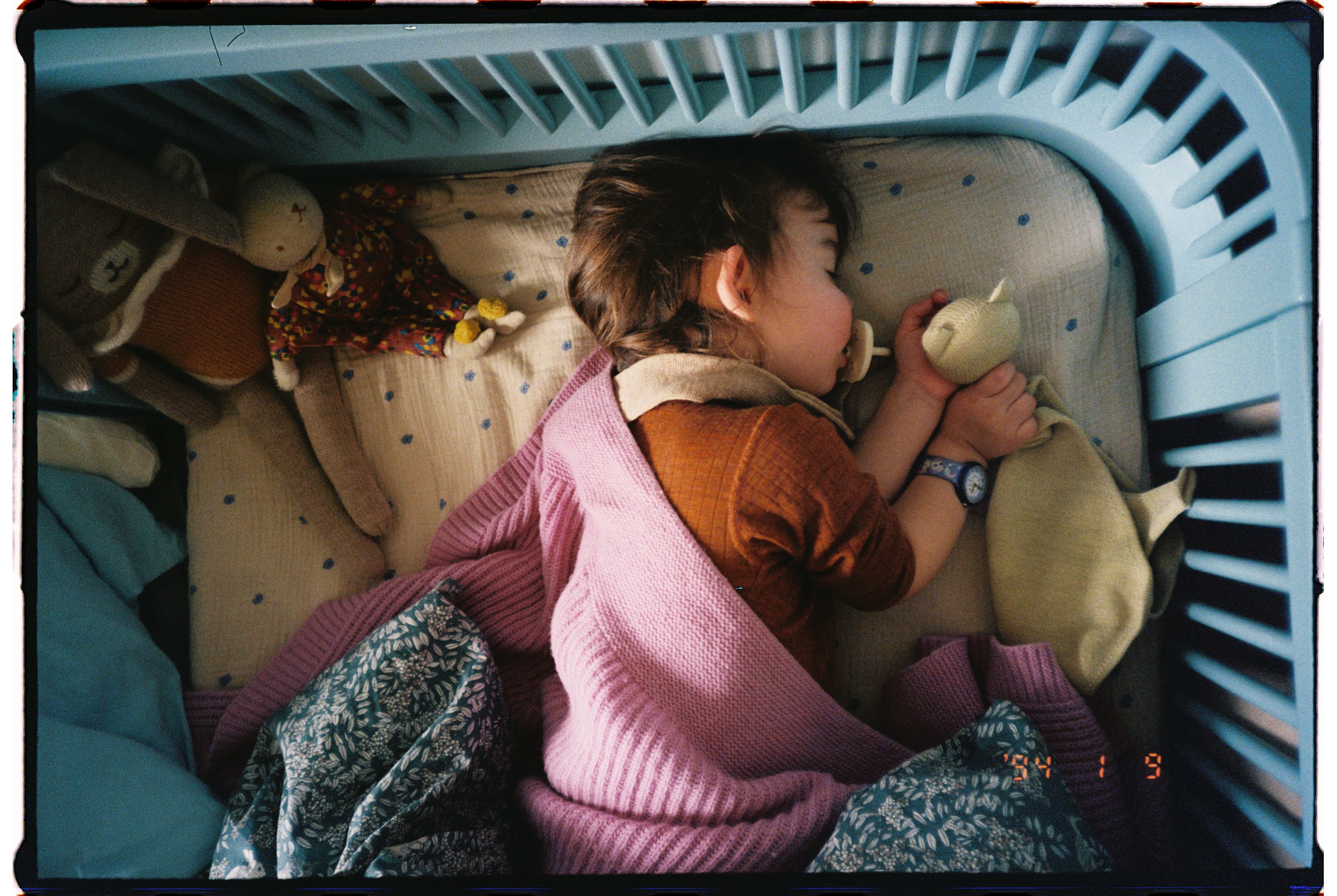 5 Non Toxic Soft Cuddly Toys